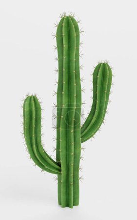 Photo for Realistic 3D Render of Saguaro Cactus - Royalty Free Image