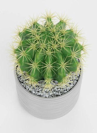 Photo for Realistic 3D Render of Golden Barrel Cactus - Royalty Free Image