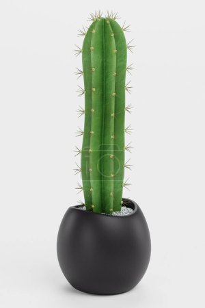 Photo for Realistic 3D Render of San Pedro Cactus - Royalty Free Image