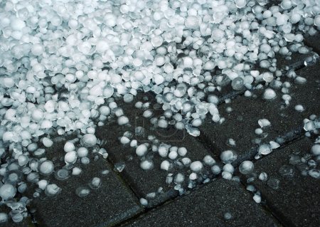 background or texture hailstones after a storm on a concrete pavement