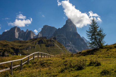 Photo for Sunny day on Rolle mountain pass in Dolomites - Royalty Free Image