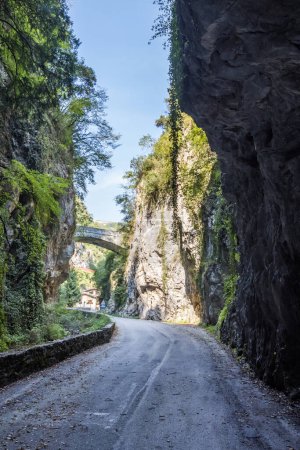 Photo for Strada della Forra panoramic mountain road through the gorge on Lake Garda - Royalty Free Image