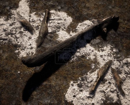 Photo for Burnt tree trunk and pieces of branch on a charred forest floor with ash. - Royalty Free Image