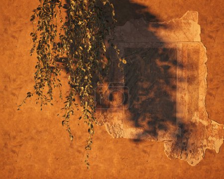 Foto de Enredadera en una antigua pared enlucida marrón con fresco envejecido durante la hora dorada. - Imagen libre de derechos