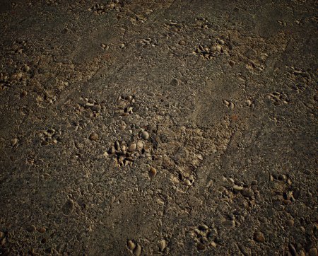 Worn out and cracked old asphalt. Detail shot.