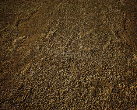 Photo for Worn out and cracked old asphalt. Detail shot. - Royalty Free Image
