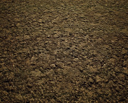 Photo for Worn out rough tarmac of a street. - Royalty Free Image