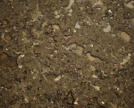 Photo for Worn out wet rough tarmac of a street. - Royalty Free Image
