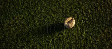 Téléchargez les photos : Porté vieux football sur gazon artificiel. Illuminé par la lumière du soleil. - en image libre de droit
