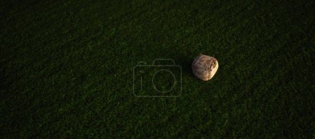 Photo for Worn old baseball on artificial grass. Lit by sunlight. - Royalty Free Image