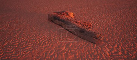 Foto de Trozo de madera de árbol muerta sobre arena ondulada en la playa a la luz del sol de la hora dorada. - Imagen libre de derechos