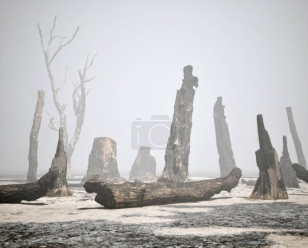 Photo for Burnt tree trunks in misty forest. - Royalty Free Image