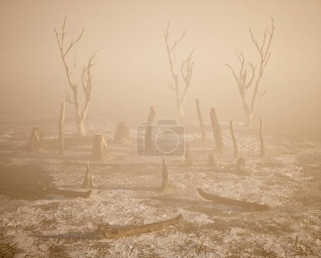Foto de Troncos de árboles quemados en bosques brumosos al amanecer. - Imagen libre de derechos