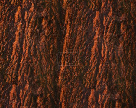 Photo for Pattern and structure of beech bark. Detail shot. - Royalty Free Image