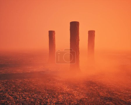 Photo for Burnt and charred pine tree trunks in mist on charred forest ground. - Royalty Free Image