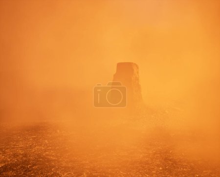 Téléchargez les photos : Souche d'arbre brûlé et carbonisé dans la brume sur le sol forestier carbonisé. - en image libre de droit