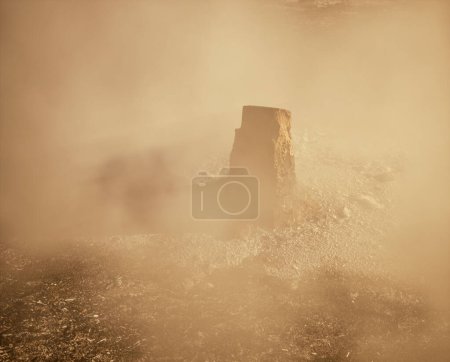 Foto de Tocón de árbol quemado y carbonizado en la niebla en el suelo del bosque carbonizado. - Imagen libre de derechos