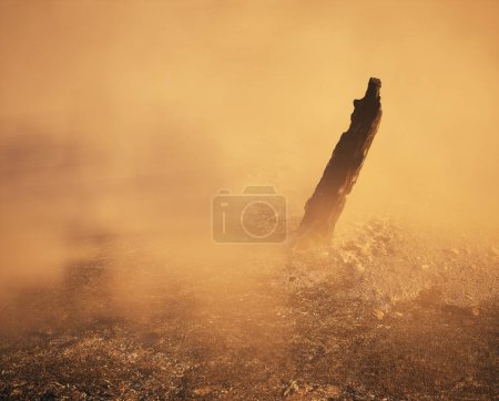 Téléchargez les photos : Tronc d'arbre brûlé et carbonisé dans la brume sur le sol forestier carbonisé. - en image libre de droit