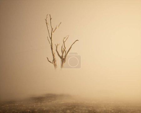 Téléchargez les photos : Arbre mort solitaire dans la brume sur le sol forestier. - en image libre de droit