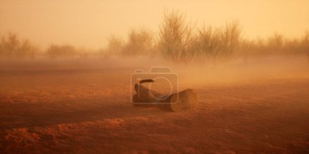 Téléchargez les photos : Botte de cow-boy perdue dans un paysage désertique désolé brumeux. - en image libre de droit