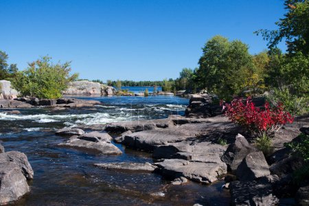Téléchargez les photos : Burleigh Falls Conservation Area, comté de Selwyn, Ontario, Canada. Photo de haute qualité - en image libre de droit