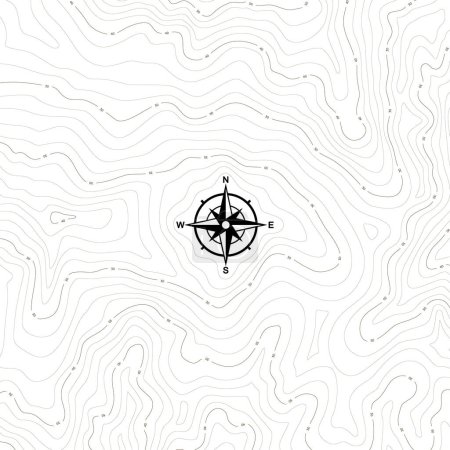 Illustration for Vector seamless background with topographical contour texture, isolines with compass. Isolated on white background. - Royalty Free Image