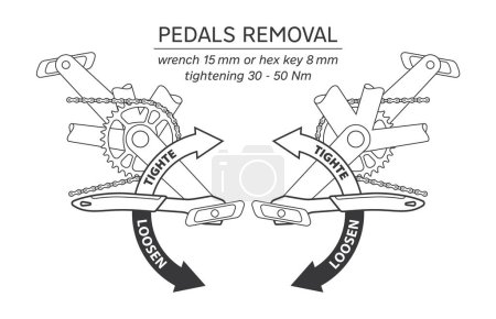 Vector tutorial pedales de bicicleta espacio libre. Aislado sobre fondo blanco