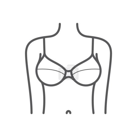 Téléchargez les illustrations : Lignes vectorielles de torse féminin avec soutien-gorge. Isolé sur fond blanc - en licence libre de droit