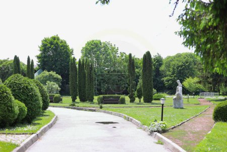 Téléchargez les photos : Paysage dans la cour de l'Académie Ostroh, parc, cyprès, beaux arbres - en image libre de droit