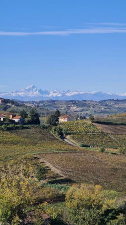 Foto de Alba, Italia-5 de noviembre de 2022: Hermosas colinas y viñedos durante la temporada de otoño que rodea el pueblo de Alba. Hermoso paisaje natural de los pequeños pueblos cerca de Cuneo. - Imagen libre de derechos
