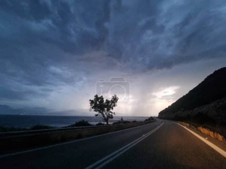 Photo for Rain road  tree wind  in the evening storm bad weather travelling tornado - Royalty Free Image