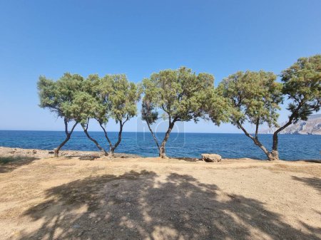 Foto de Skyros isla kompogiannia scalpture parque junto al mar y el camino arte griego - Imagen libre de derechos