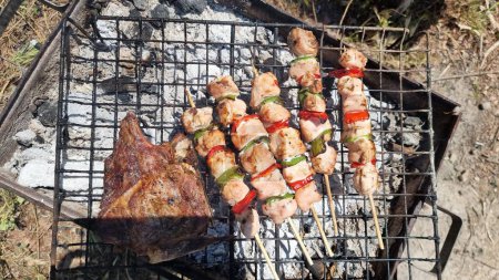 Foto de Souvlakia suvlakia carne comida griega en carbones tostados y humo - Imagen libre de derechos