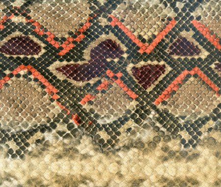 Photo for Snake skin leather textured reptile print. Pyton animal leather background. Snake pattern, snake texture, python texture, African animal print - Royalty Free Image