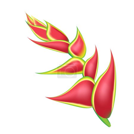 Feuilles de palmier monstère avec hibiscus et fleurs plumeria rose fond abstrait. Été tendance imprimé de fleurs exotiques. Ensemble de fleurs exotiques tropicales.