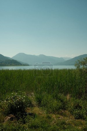 Hermosa vista de un campo verde vibrante rodeado de siluetas de montañas en el lago Tegernsee.