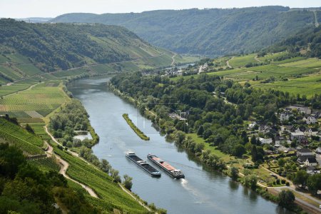 Téléchargez les photos : Vue aérienne d'un village près de la rivière Moselle entouré de verdure et de vignobles en Allemagne. - en image libre de droit