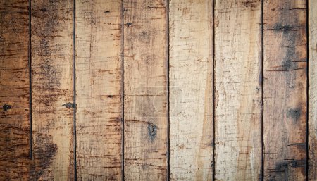 Photo for Tree. Background old panels. High definition, texture - Royalty Free Image