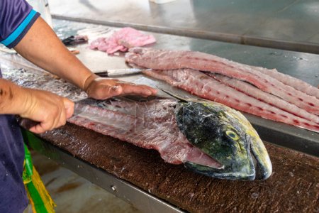 Photo for A man cleans a big freshly caught fish dorado in the fish market for a buyer. Ecuador, province of Santa Elena - Royalty Free Image