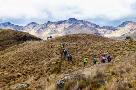 Foto de Cajas, Ecuador, 25 de mayo de 2023: Parque Nacional El Cajas en los Andes ecuatorianos. Un grupo de turistas en un sendero en las tierras altas a una altitud de 4000 m sobre el nivel del mar. - Imagen libre de derechos