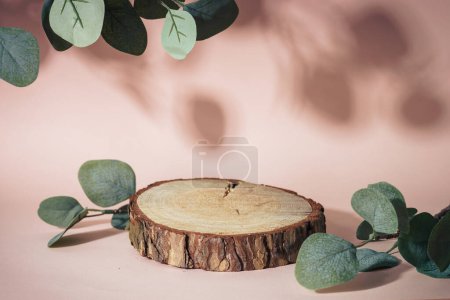 Foto de Podio de madera para presentación con hojas de eucalipto sobre fondo rosa. - Imagen libre de derechos