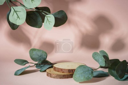 Foto de Podio de madera para presentación con hojas de eucalipto sobre fondo rosa. - Imagen libre de derechos