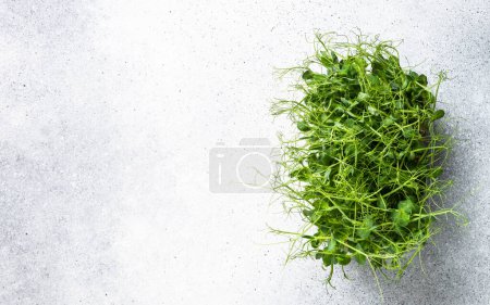 Photo for Green pea microgreens, sprouts. Healthy dietary food, vegan food, natural vitamins. Top view with copy space. - Royalty Free Image