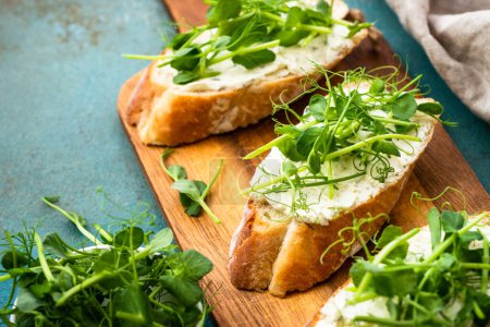 Photo for Toast with micro greens and cheese. Healthy food snack, vegetarian. Macro. - Royalty Free Image