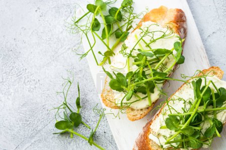 Photo for Toast with cream cheese and micro greens. Healthy food, vegetarian. Macro. - Royalty Free Image