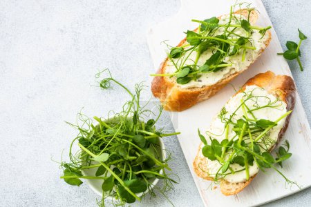 Photo for Toast with cream cheese and micro greens. Healthy food, vegetarian dish. Flat lay on white. - Royalty Free Image