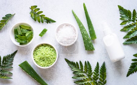 Photo for Natural cosmetic concept. Homemade cosmetic aloe, sea salt, green leaves. Top view on white. - Royalty Free Image