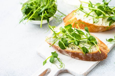 Photo for Toast with micro greens, green pea and cream cheese at blue. Healthy food snack, vegetarian. Close up. - Royalty Free Image