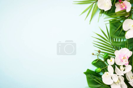 Photo for Summer flat lay on blue background. Tropical leaves, flowers and sea shells. Summer plants, tropical. - Royalty Free Image