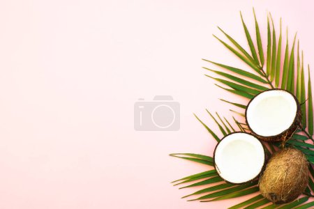 Foto de Verano plano yacía fondo. Hojas de palma y coco sobre fondo rosa. - Imagen libre de derechos